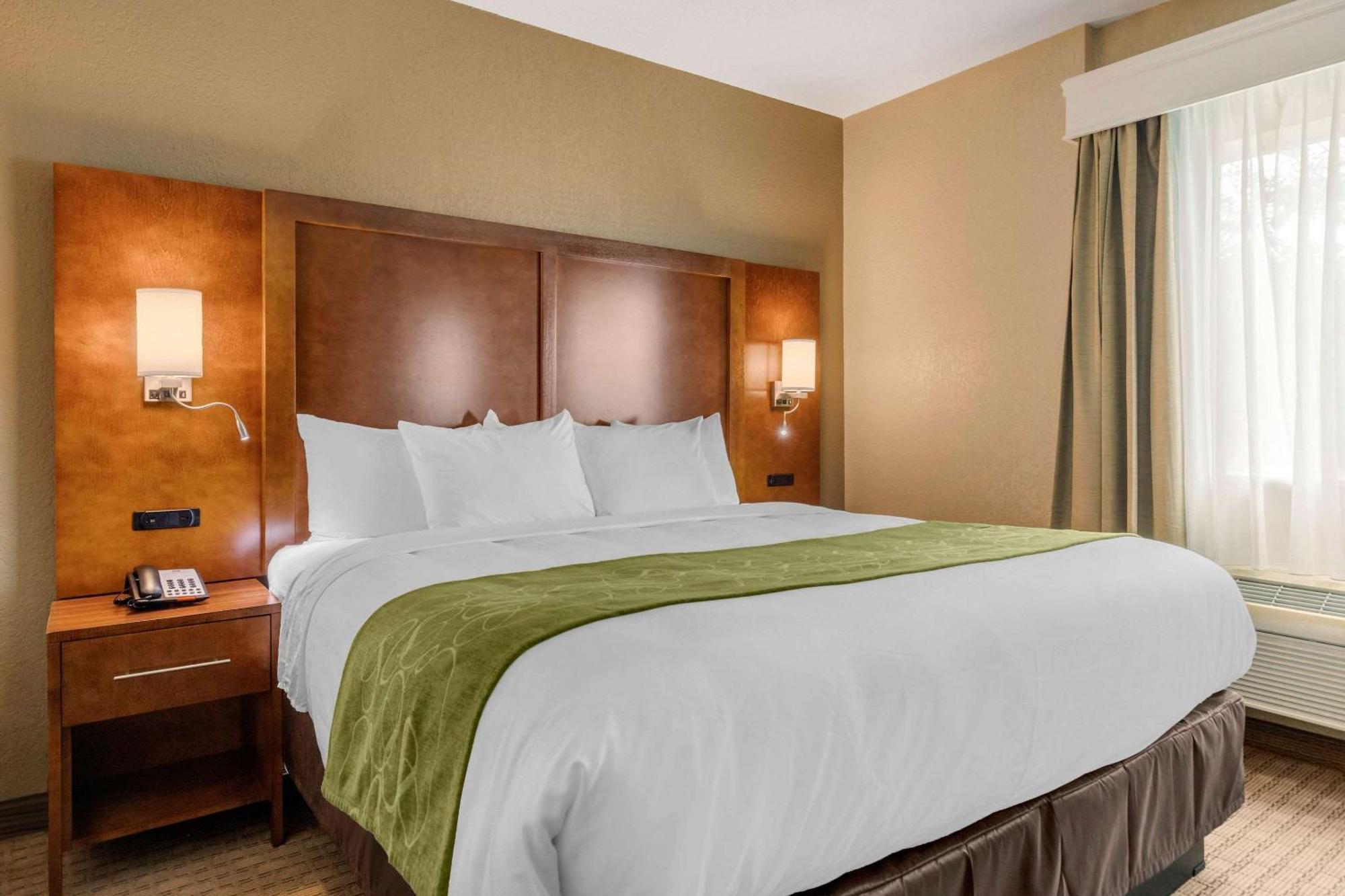 Comfort Suites San Antonio Airport North Eksteriør bilde